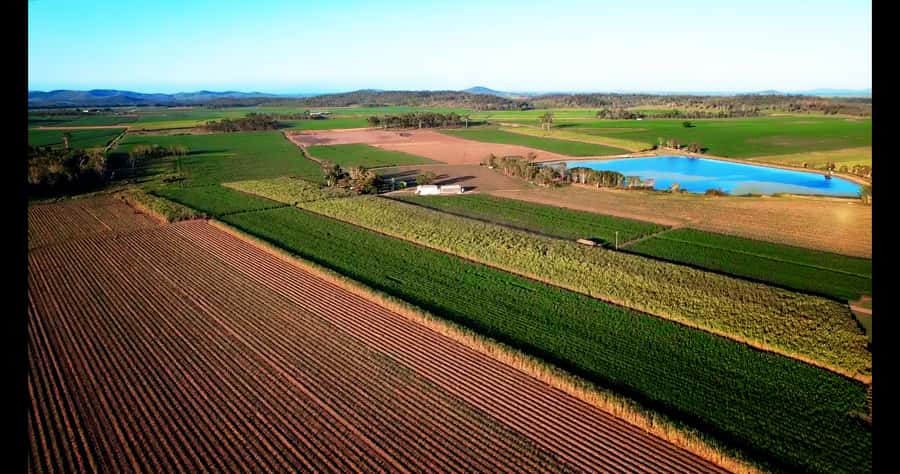Mackay: 3 Hour Sugarcane Farm Tour - Karinda’s story is a major part of the visit