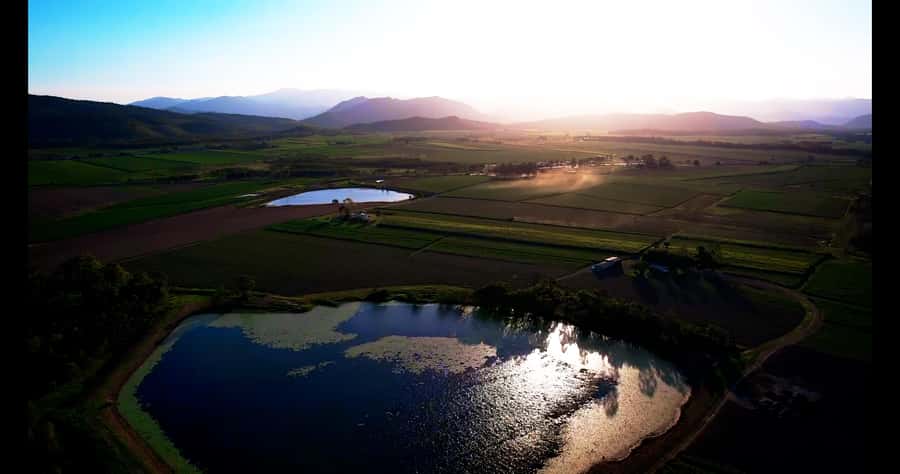 Mackay: 3 Hour Sugarcane Farm Tour - Is $48 good value?