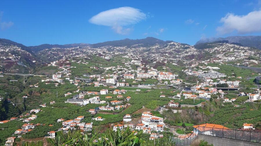 Madeira: Private Banana Farm Tour with Pickup - What the Private Price Really Buys You