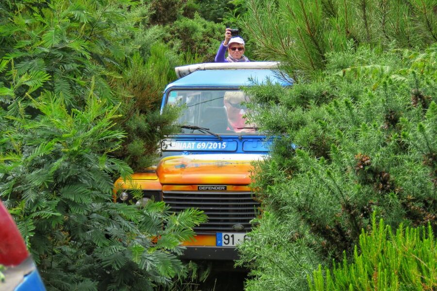Madeira : Santo de Serra Local Farmers' Market half day trip - Is $49 good value in Madeira?