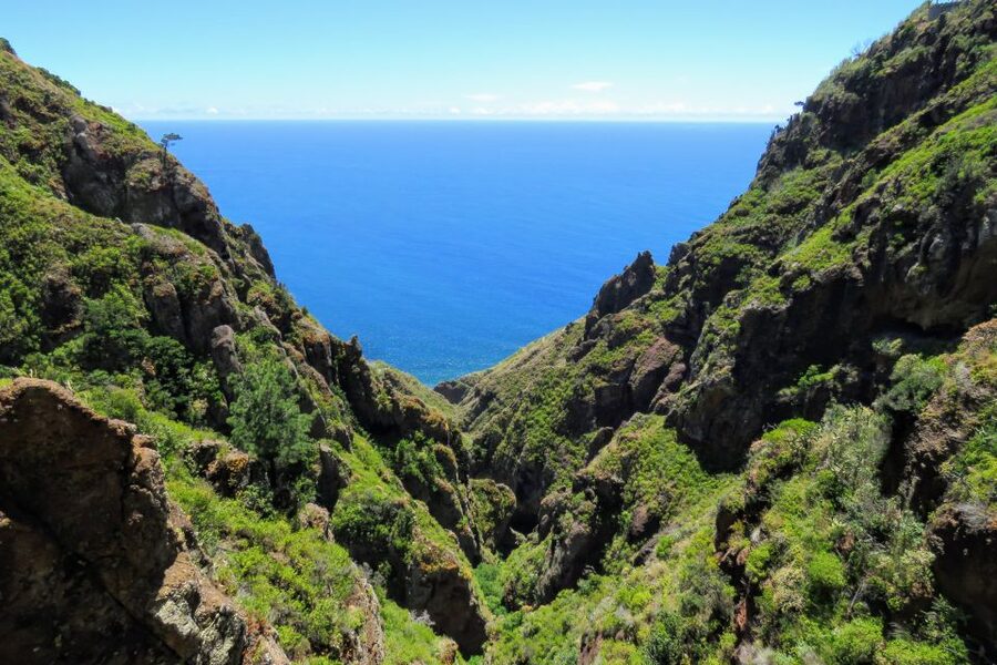 Madeira : Santo de Serra Local Farmers' Market half day trip - Who should take this trip?
