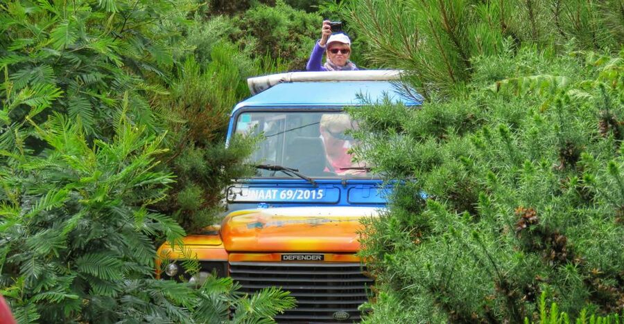 Madeira : Santo de Serra Local Farmers' Market half day trip - The 4x4 ride through Madeira’s steep roads