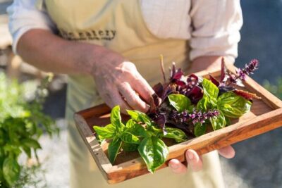 Maggie Beer’s Farm Cooking School and Seasonal Lunch