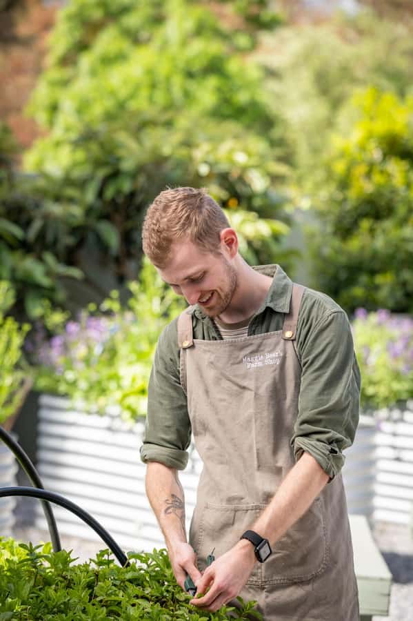 Maggie Beer's Farm Hands-on Cooking School and Lunch - The seasonal Barossa lunch