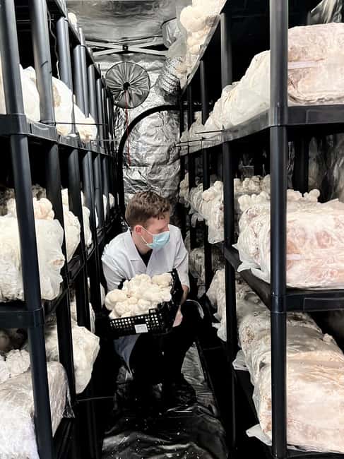 Makars Mushroom Farm Summerhall Tour with DIY Block Making - Why this unusual Summerhall tour is worth your hour