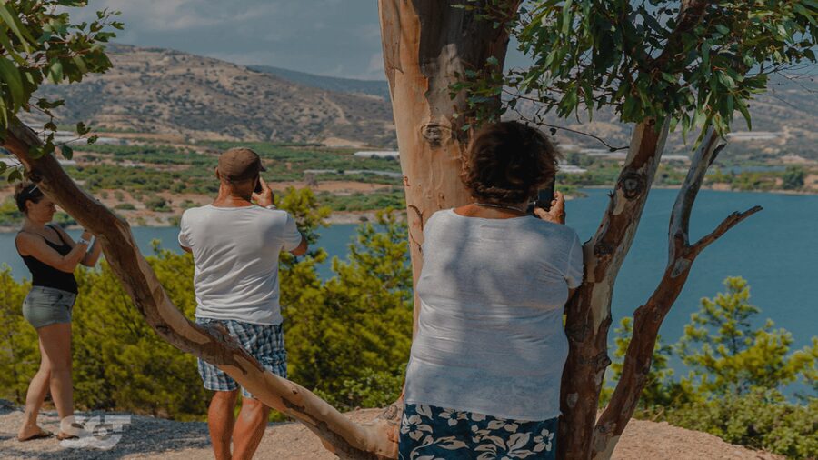 Makrigialos-Ierapetra: Hidden Villages & Olive Oil Farm Tour - The olive oil farm: a useful start with one extra charge