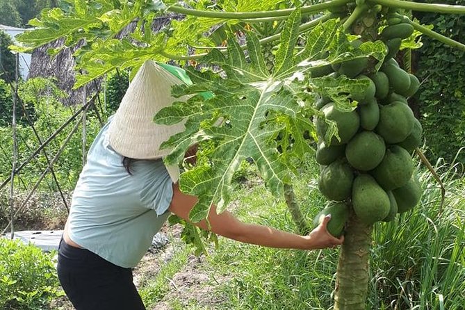 Market to Farm to Table Cooking Class in saigon - Why This Saigon Cooking Class Works So Well