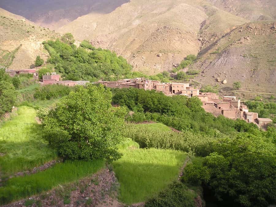 Marrakech: Anima Garden, Saffron Farm and Ourika Valley Trip - Walking to the Setti Fatma waterfalls