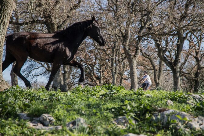 Martina Franca e-Bike tour . Visit a breeding and a dairy farm - Is $111.13 a fair price?