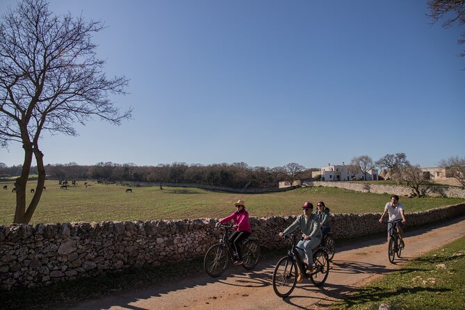 Martina Franca e-Bike tour . Visit a breeding and a dairy farm - The Martina Franca countryside route