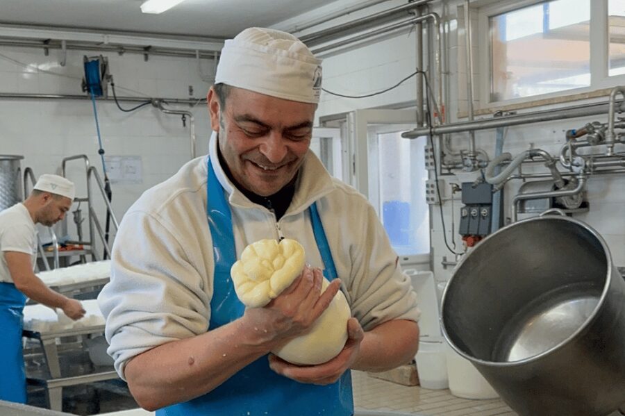 Martina Franca: Mozzarella and Pasta Workshop with Farm Tour - A farm visit with more than a cooking class