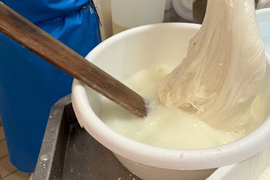 Martina Franca: Mozzarella and Pasta Workshop with Farm Tour - Who will enjoy this Martina Franca experience