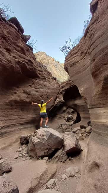 Maspalomas: Barranco de las Vacas, Caves, Farmhouse Tour - Barranco de las Vacas: 45 minutes in a sculpted ravine