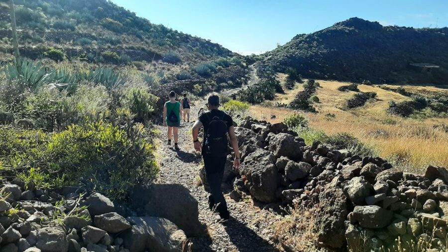 Maspalomas: Barranco de las Vacas, Caves, Farmhouse Tour - Who should book this experience?
