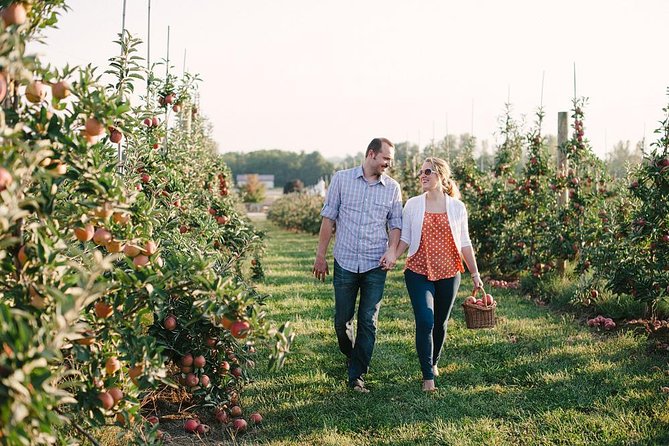 Mattituck Bike Wine Country and Fruit Orchard Tour - Vineyard fields and local wine