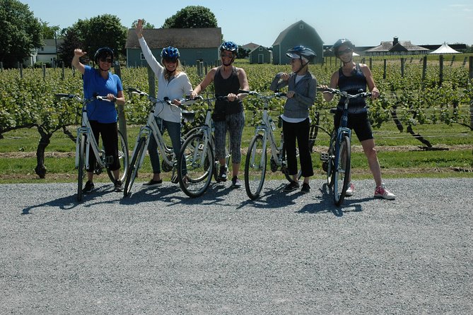 Mattituck Bike Wine Country and Fruit Orchard Tour - Farm stand, homemade pies, and orchard time