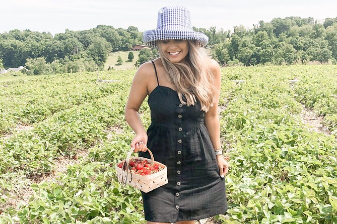 Mattituck Bike Wine Country and Fruit Orchard Tour - Optional Mexican Village-style lunch