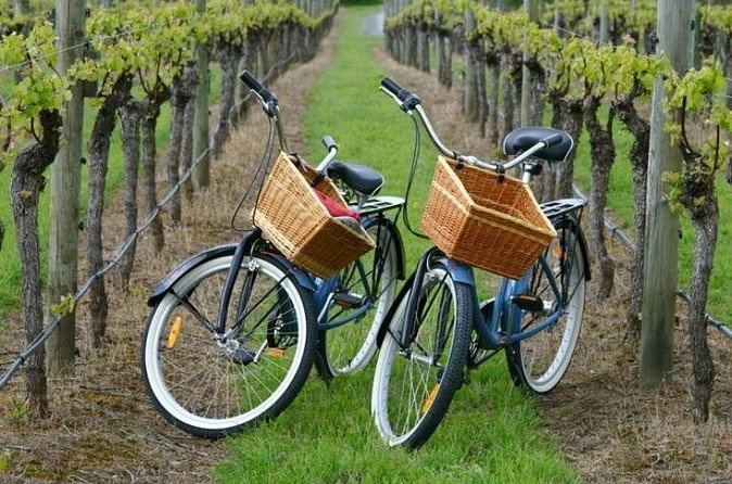 Mattituck New York Guided Farm and Wine Country Bike Tour - What happens at the two wineries