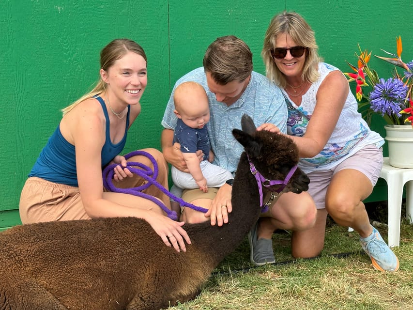 Maui: Alpaca Farm Visit with Hands-On Activities - What $79 buys you