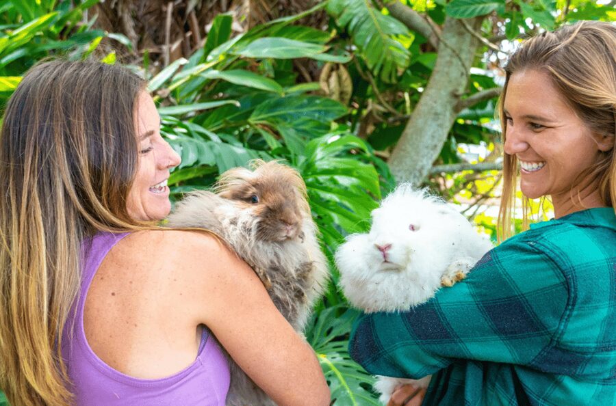 Maui: Alpaca Farm Visit with Hands-On Activities - Who will enjoy this most