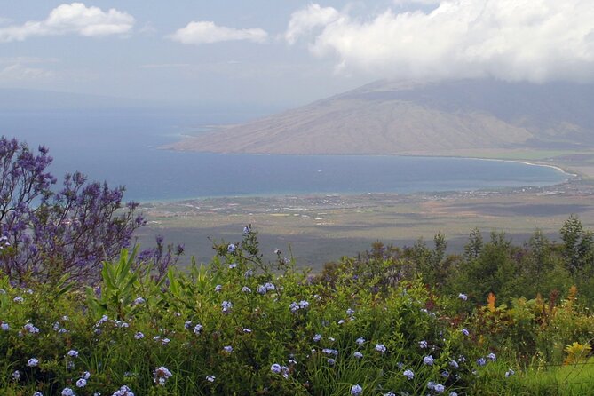 Maui Farm Distillery and local craft experience Full-Day Tour - What kind of Maui day is this?