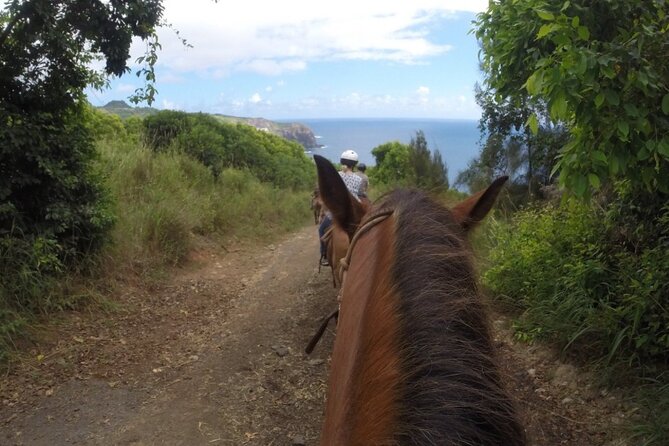 Maui Horseback Adventure at Circle M Ranch With Real Cowboys - Taro patches, plantation homes, and the uphill return