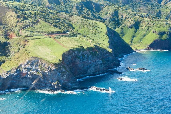 Maui Horseback Adventure at Circle M Ranch With Real Cowboys - What the paniolos add to the ride