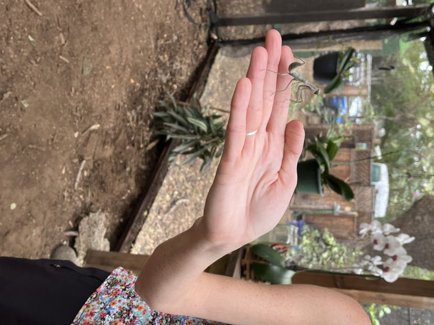 Maui: Interactive Butterfly Farm Entrance Ticket - A guide-led visit with room for questions