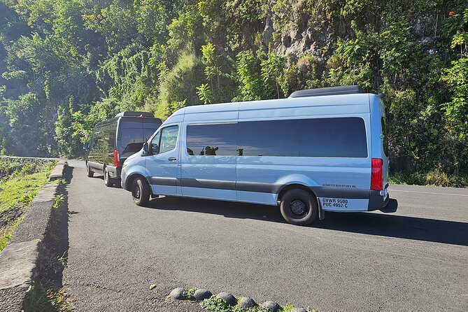 Maui: Road to Hana Adventure with Farm to Table Lunch - Pua‘a Ka‘a Falls and a possible swim