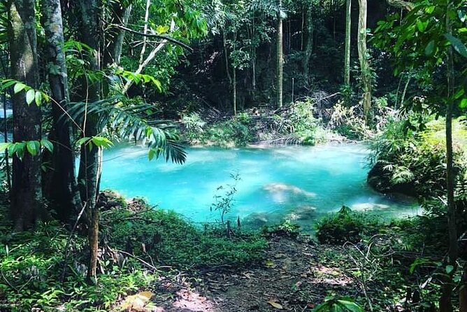 Mayfield Falls, Blue Hole & Rick's Café Tours/Weed Farm option - The Guides and the Human Side of the Day
