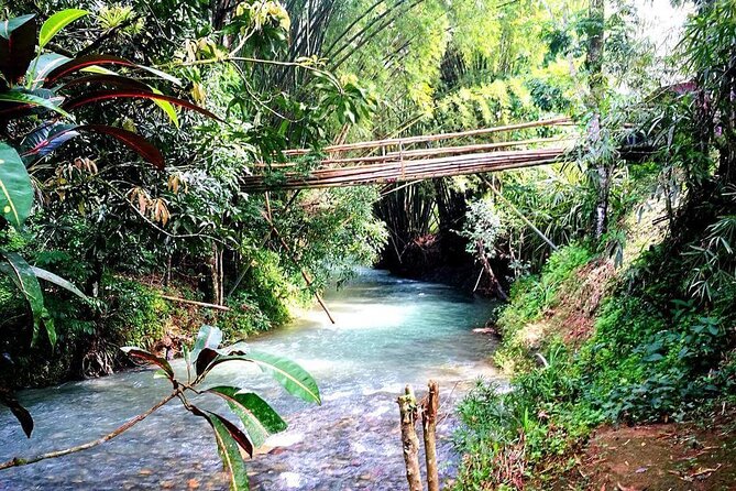 Mayfield Falls, Blue Hole & Rick's Café Tours/Weed Farm option - The Blue Hole Mineral Spring and Its 22-Foot Choice