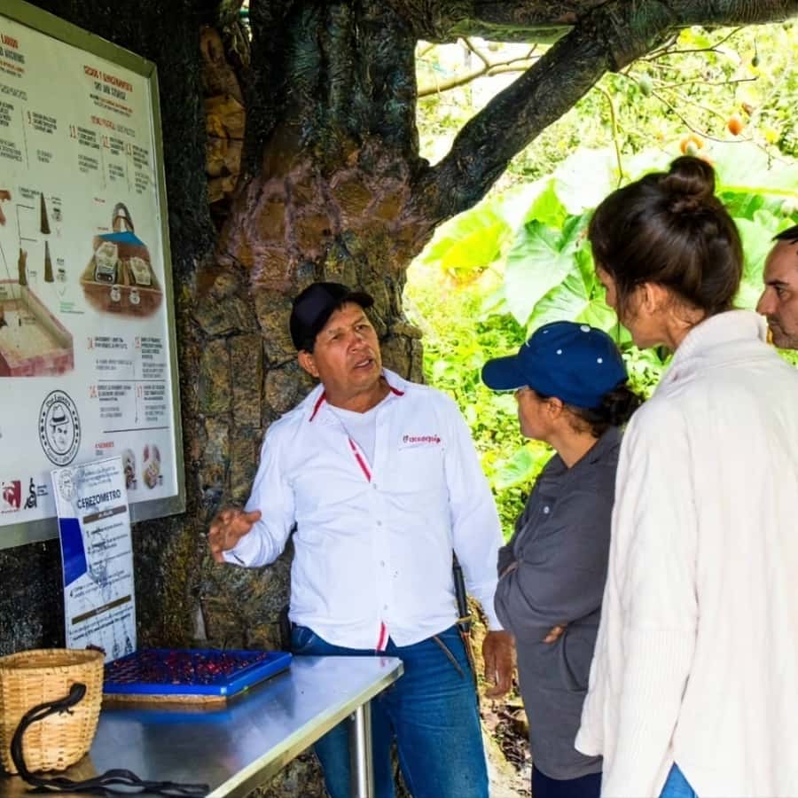 Medellin: Coffee Farm and Barista Workshop Experience - The Three-Hour Barista Session