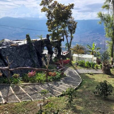 Coffee Farm and Barista Workshop Experience