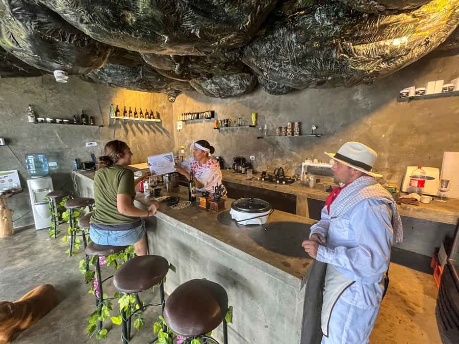 Medellin: Coffee Farm and Barista Workshop Experience - What the Visit Is Not
