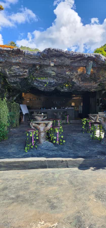 Medellin: Coffee Farm Tour & Spa with Overnight Glamping - Is the $1,705 Price Good Value?