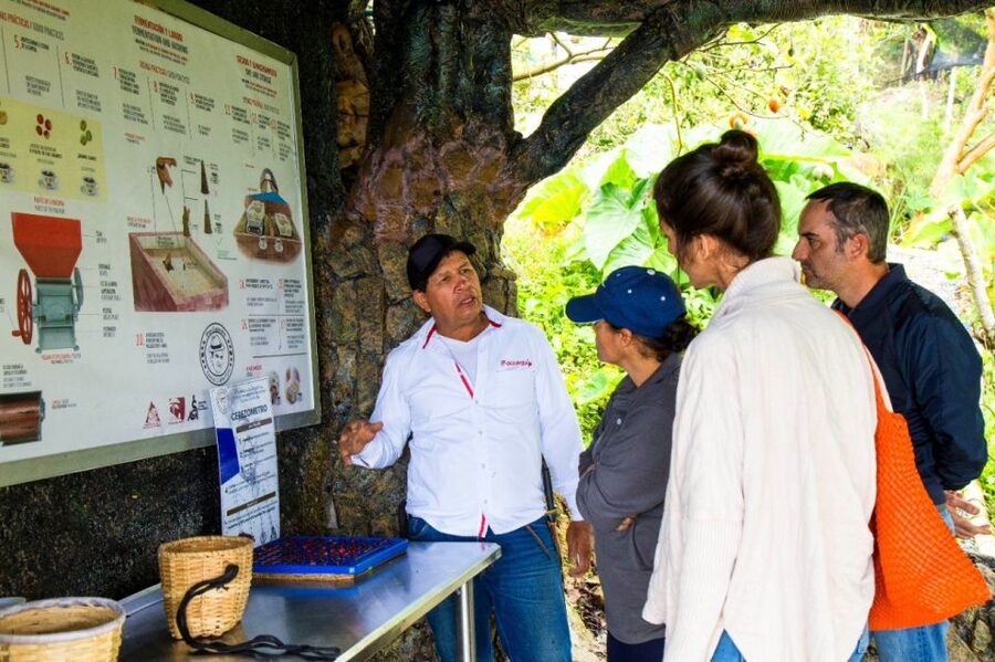 Medellin: Coffee Farm Tour & Spa with Overnight Glamping - The Coffee Spa Treatment
