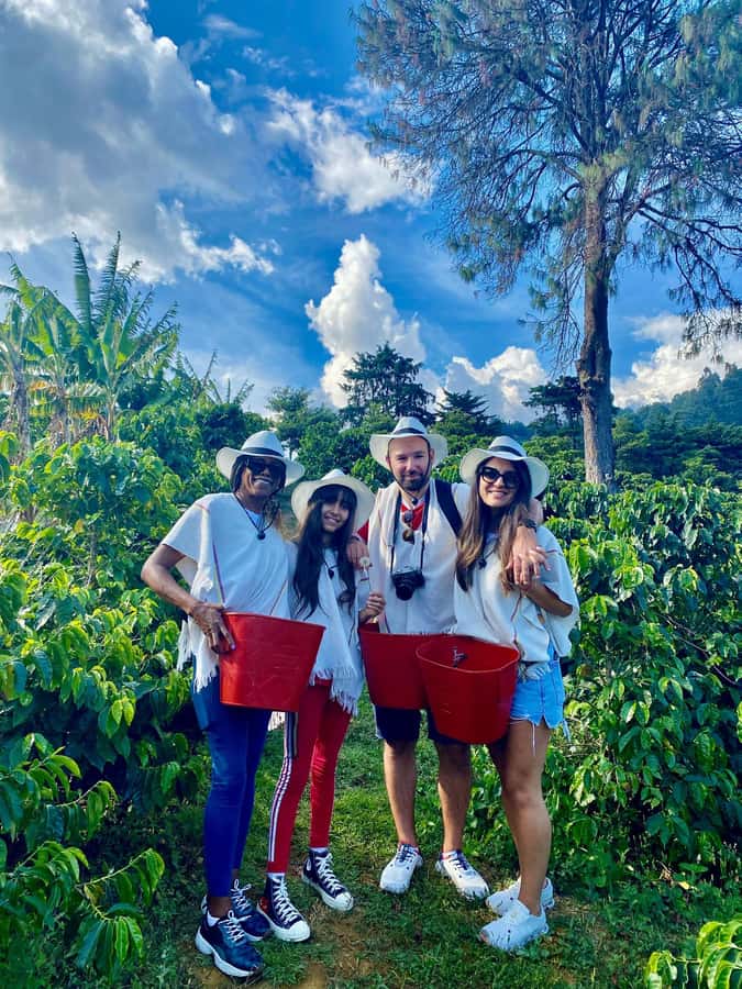 Medellín Coffee Farm Tour with Trolley and Cable Car Ride - Starting at San Antonio station, then heading uphill