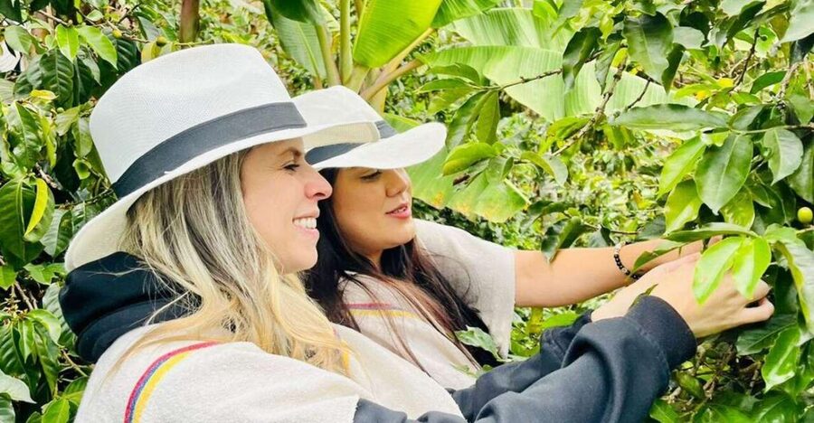 Medellín Coffee Farm Tour with Trolley and Cable Car Ride - The guides make a real difference