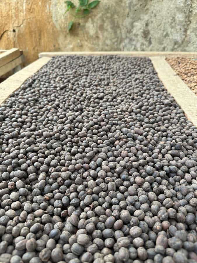 Medellín Coffee Farm Tour with Trolley and Cable Car Ride - Walking through Barrio La Sierra
