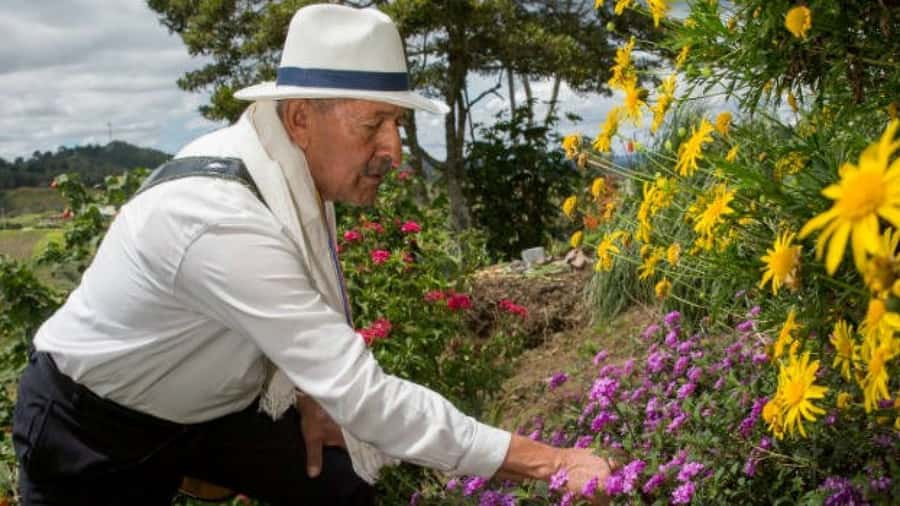 Medellín: Flower Farm & Silletero History Tour - Why Santa Elena matters to Medellín