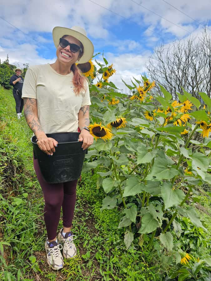 Medellin: Guatape, El Peñol Coffee Farm Private Tour & Fruit - Climbing the 700 steps of El Peñol Rock