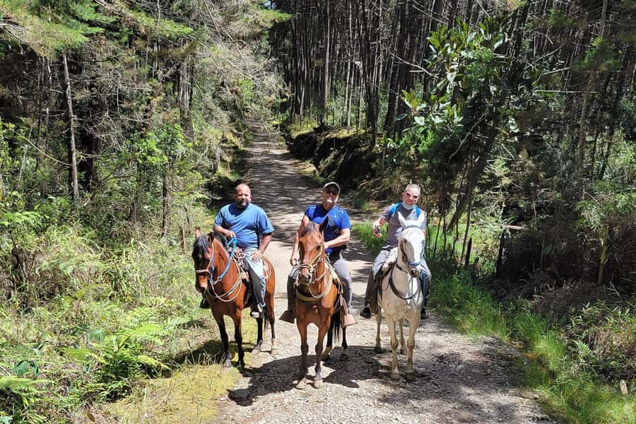 Medellin: Horseback Riding Coffee Farm Tour with Coffee Spa - From Medellín to the Arví Hills