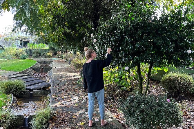 Meditation Experience at a Lovely Farm in Porto - Leaving Porto for a Quiet Farm Setting