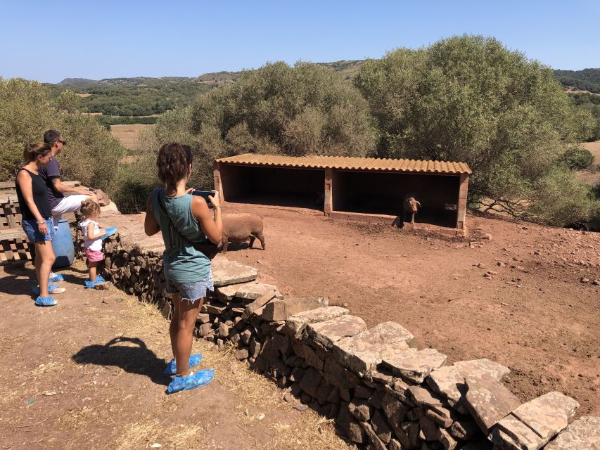 Menorca: Cheesemaking and Farm-Fresh Product Tasting - Price, flexibility, and practical value