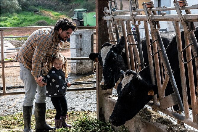 Menorca: Cheesemaking and Farm-Fresh Product Tasting - Making Mahón Cheese With Your Own Hands