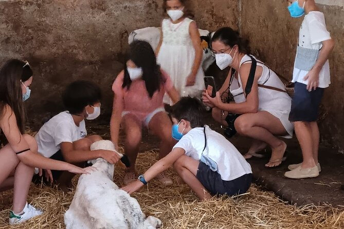 Menorca: Cheesemaking and Farm-Fresh Product Tasting - Booking and Timing Tips