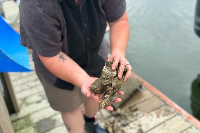 Mere Point Oyster Farm Tour - Cruising Casco Bay beyond the usual harbor views