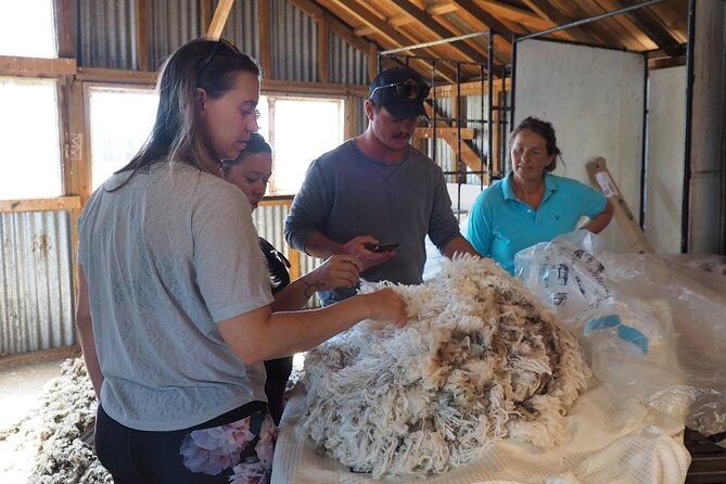 Merino Farm Experience - Hilltop views over rivers and the Southern Alps