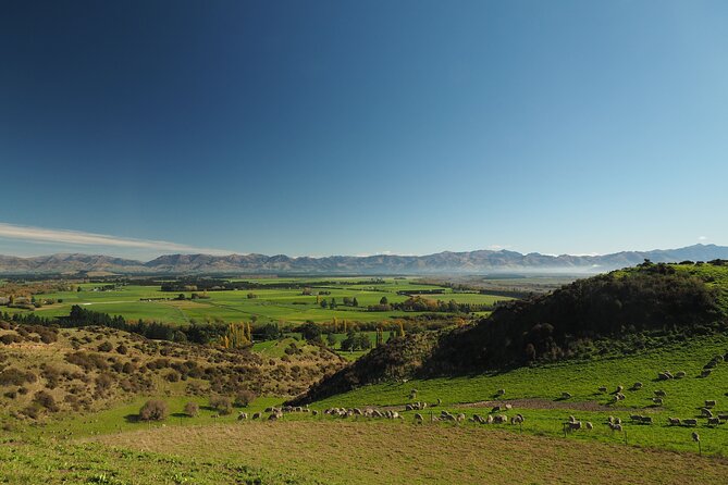 Merino Farm Experience - Who will enjoy this farm visit?