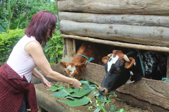 Microfinance family farm tour - all proceeds to charity - What you eat and what to expect at lunch
